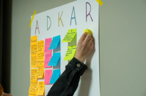 8.Coaching y entrenamiento