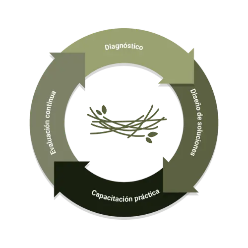 cómo-trabajamos_gráfico